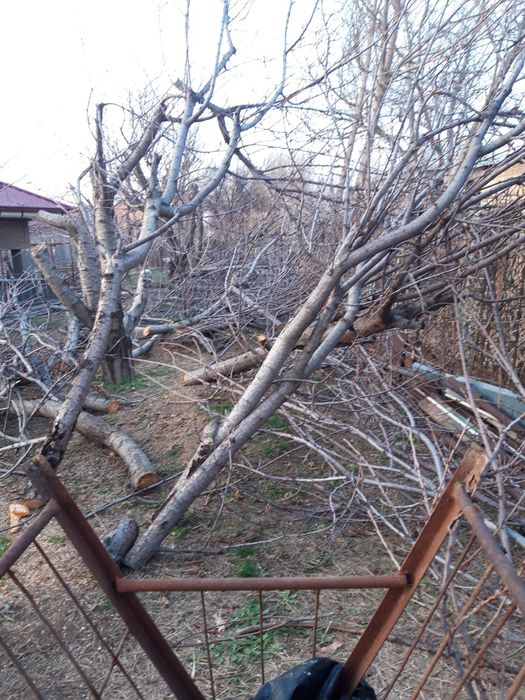 Дрова утин майда ва йирик