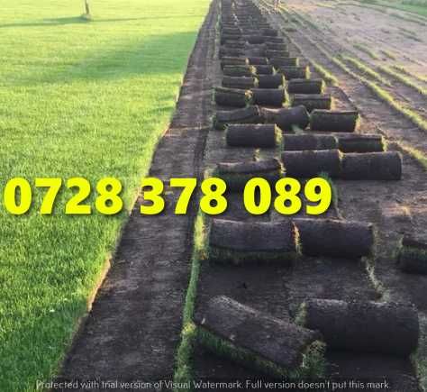 Rulouri de gazon plus Montaj !