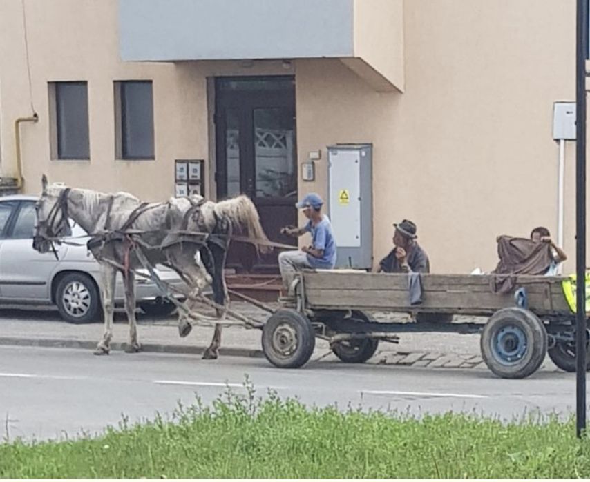 Vând cal sau schimb cu seria7