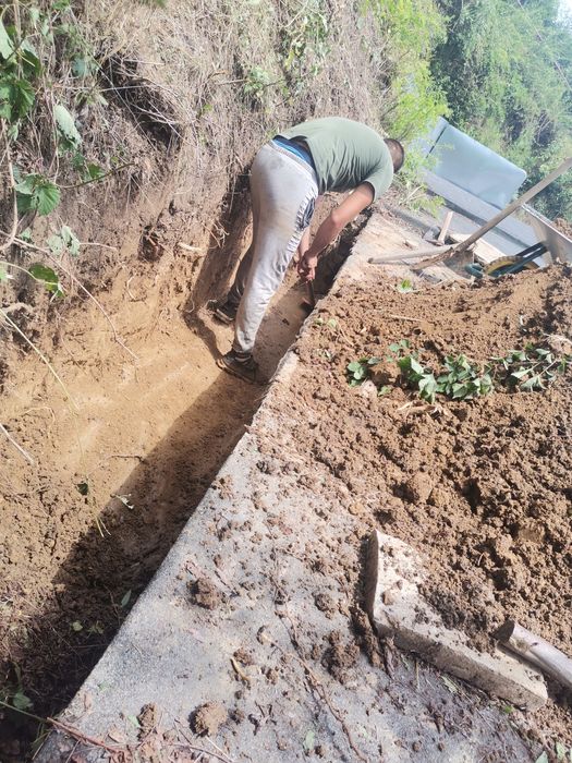 Рязане на опасни дървета ; чистене на дворни места ;рязане на дърва за