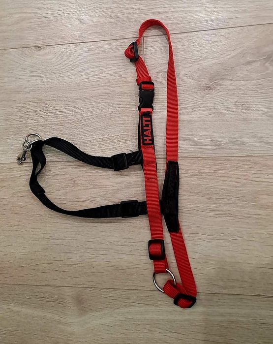 Lesa, ham si centura de masina pentru câine