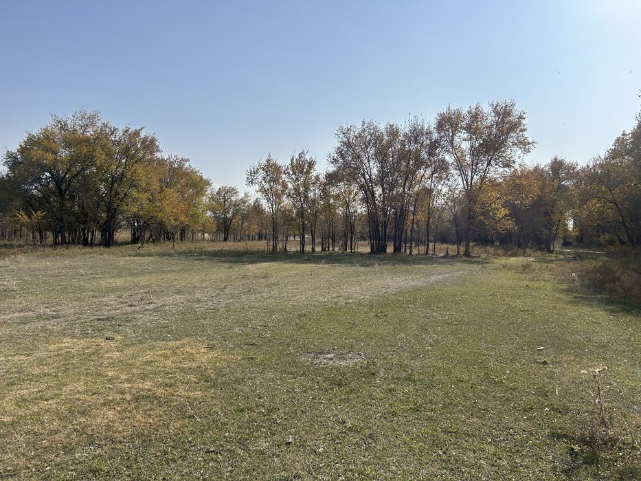 Участок под фазенду КХ