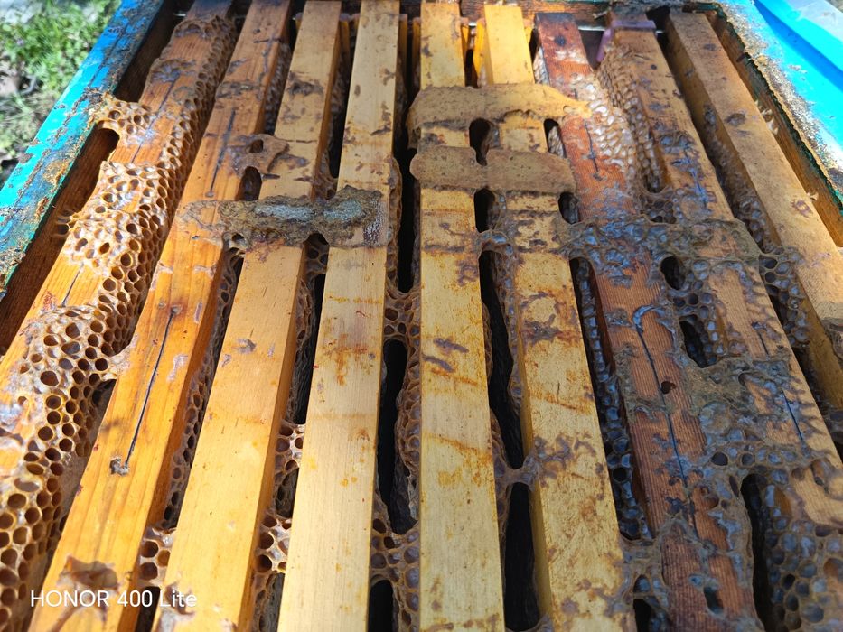 Пчелни кошери с рамки и мед