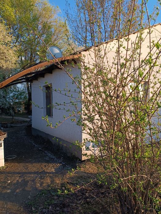 Продаётся фазенда!!!