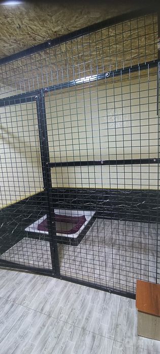 Передержка домашних питомцев ,к каждому хвостику индивидуальный подход