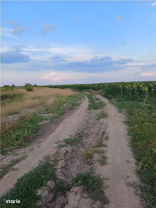 Otopeni-Str.Dr.Garii Balotesti-11.700mp-front 37ml-Ideal Investitie
