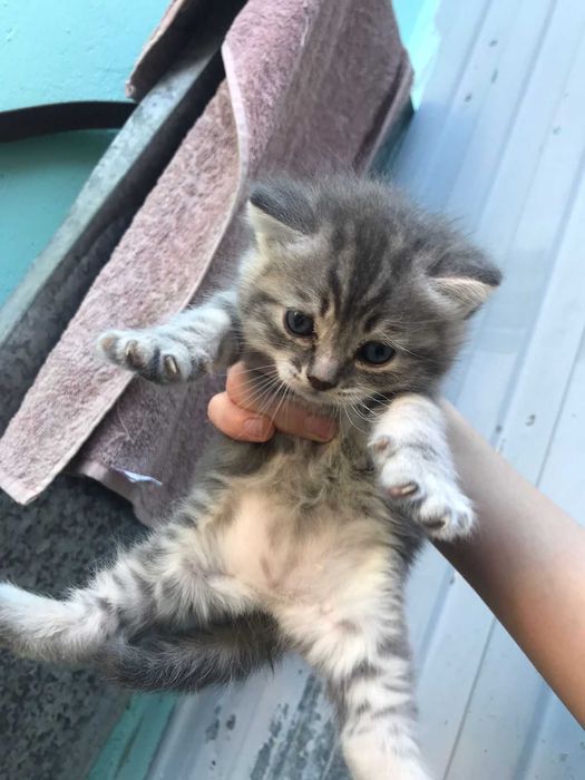 Жанка Уральск 86