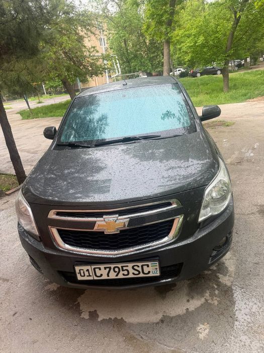 Cabolt 2024 kraska tozza