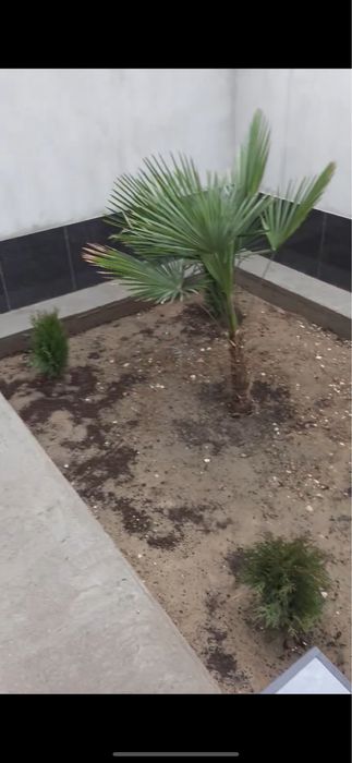 Продается 3 х комн дом