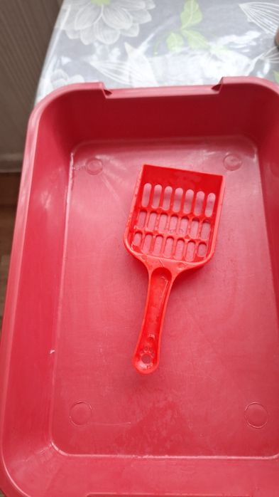 Лоток для котёнка