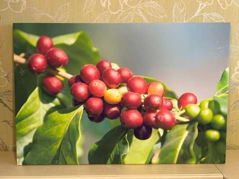 Фото картина на холсте