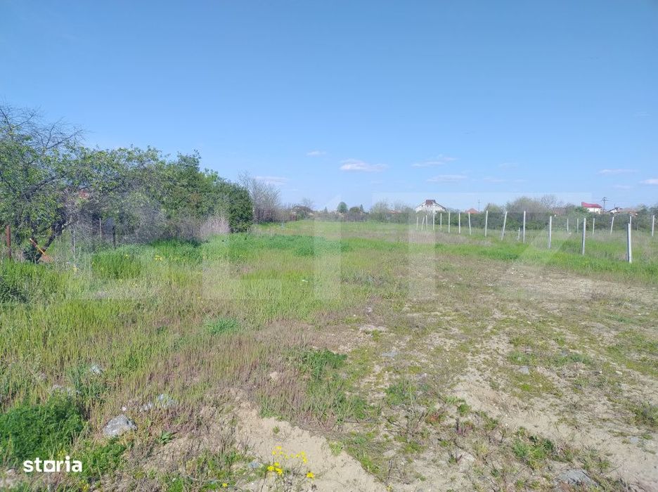 Teren intravilan, 2194 mp, 17 m deschidere, zona Mofleni