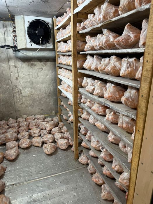 Мясо бройлера домашнего