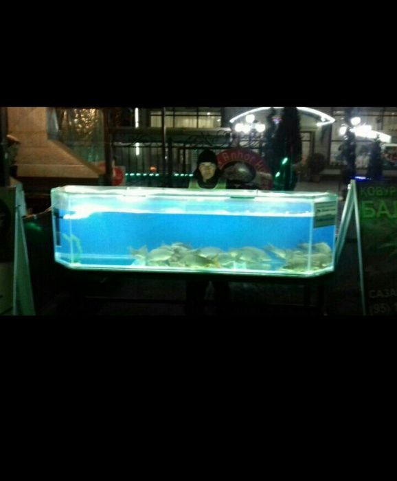 Изготовление и ремонт аквариума продажа рыб обслуживание и другие усл