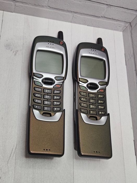 Жас аққұбаны орыс орманында сиқыды