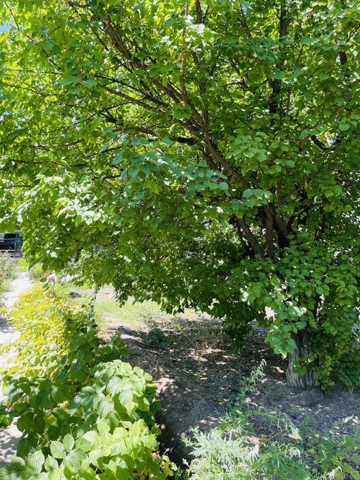 Продается участок