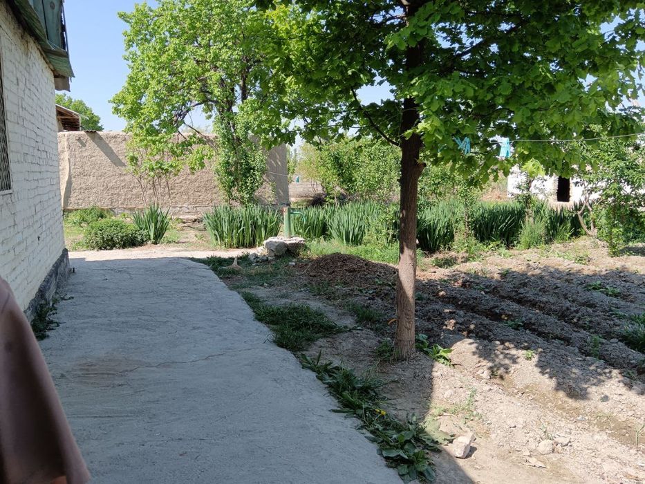 Навбахор дача тезда сотилади биринчи куча оладигон одамга келиштирамиз