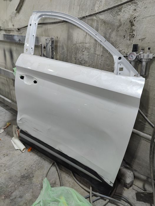 Дверь Byd Song Plus