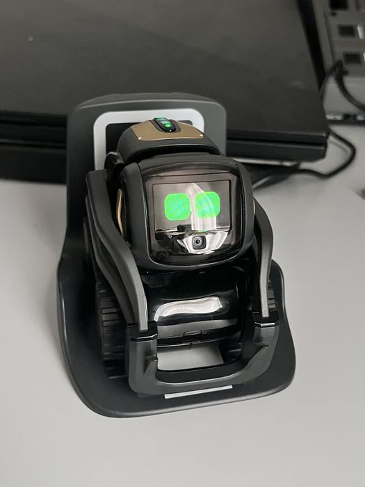 Робот Vector с ИИ