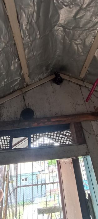 Продам голубятник