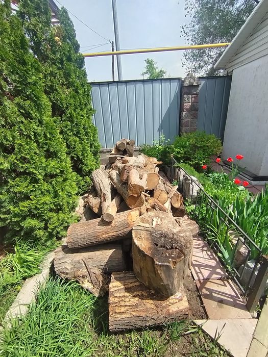 Отындар бар сатылатын