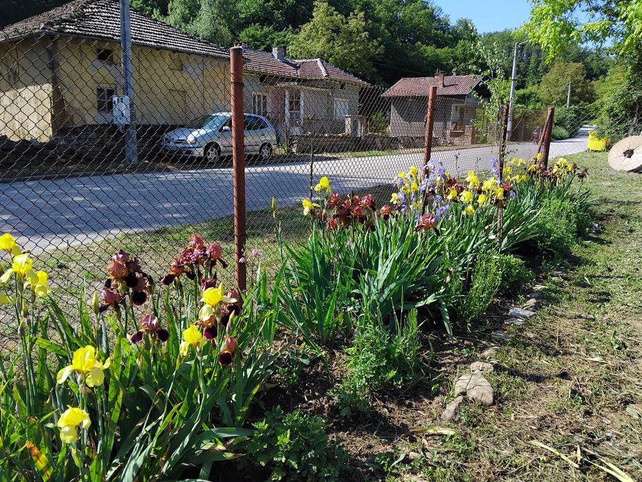 Продавам 1010 кв. м. в регулация и 2 декара зем. земя в с. Враниловци.