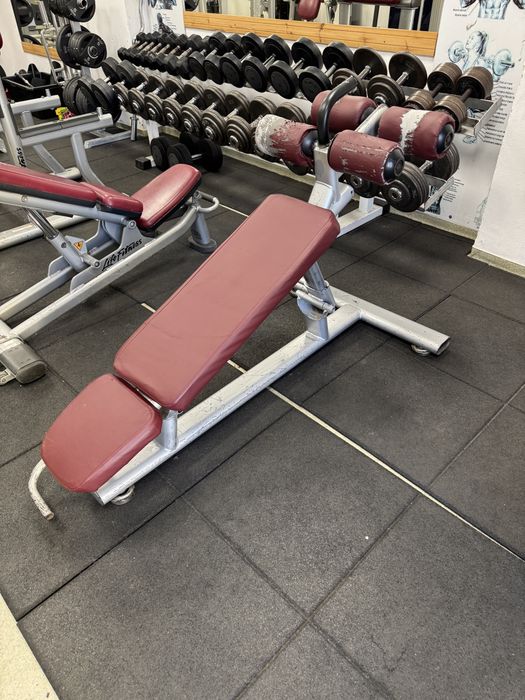 Banci fitness profesionale  life fitness  / gym 80