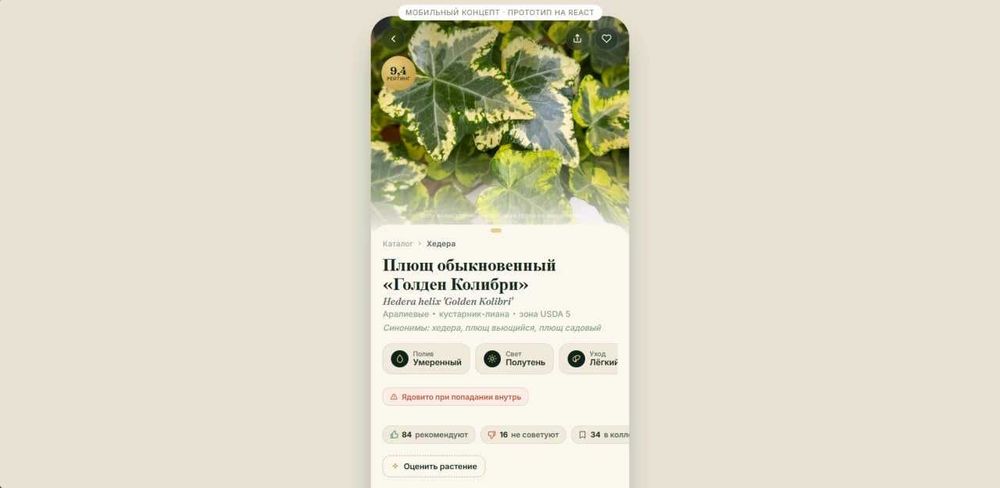 Dasturchi: sayt, ilova, Telegram bot