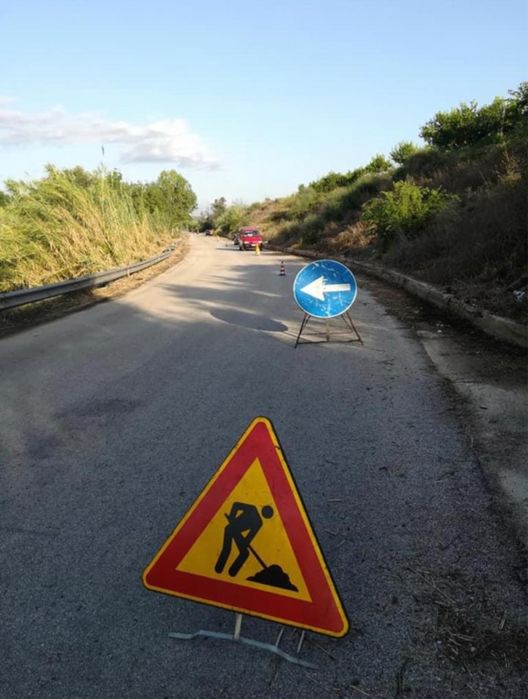 Curatare terenuri lasate in paragina