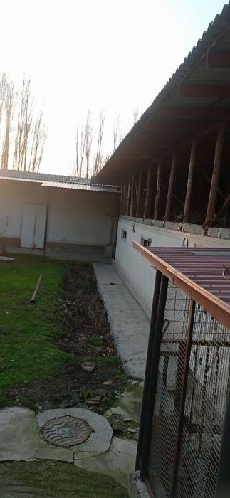 Zangiota tuman Tokzor Mfy Ganchkor koʻchasi