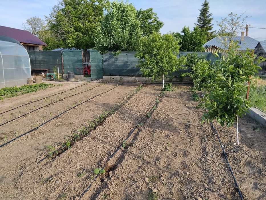 Proprietar – Vând casă batraneasca 3 camere și teren 2100 mp, deschidere dublă – Perieți