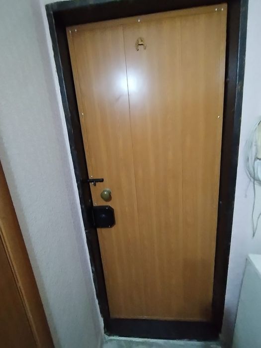 Металлическая дверь