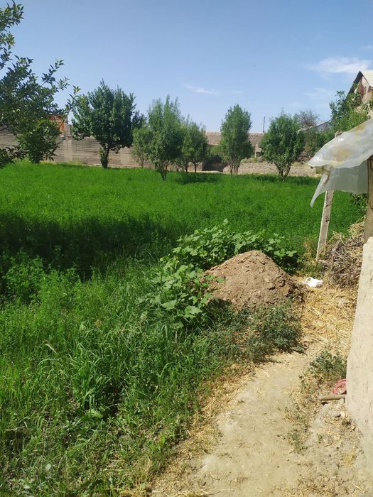 Yer sotiladi 18 sotok