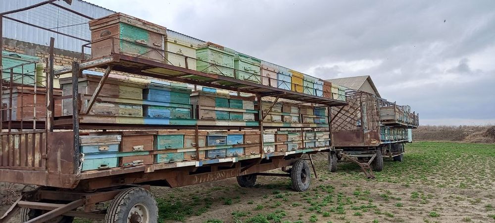 Асалари павилиони билан сотилади