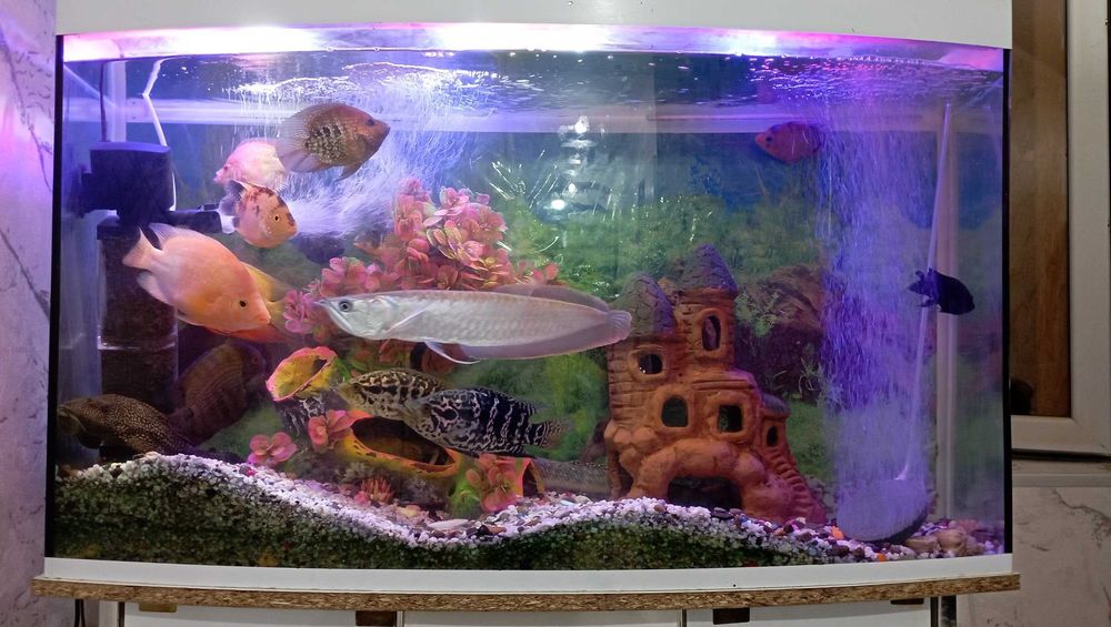 Akvarium sotiladi