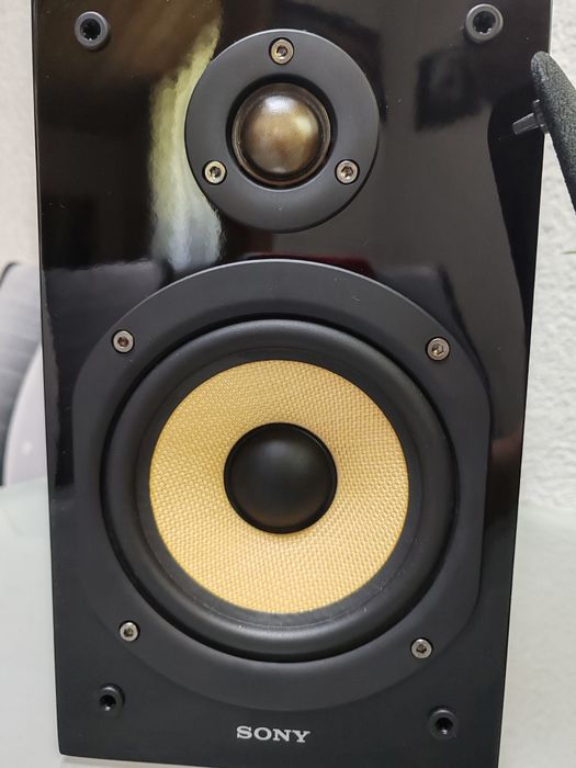 Boxe Hi-Fi Sony SS-CG1 – Sunet clar și design iconic