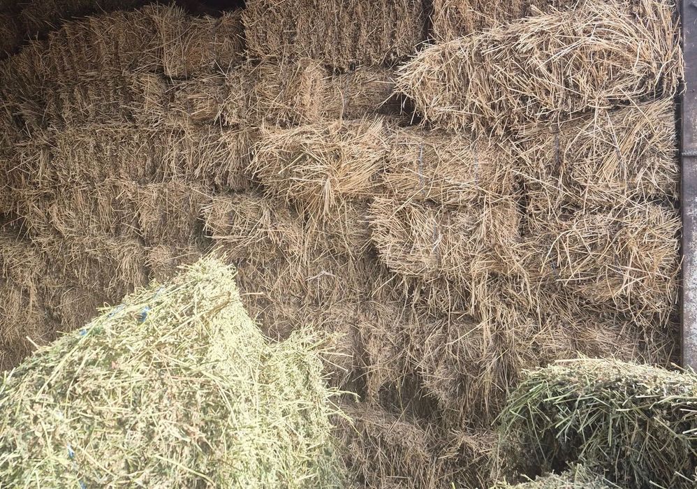 Baloți de fân amestecați cu lucernă