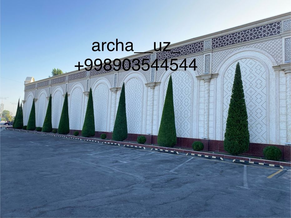 Арча кесиш ва дорилаш хизмати