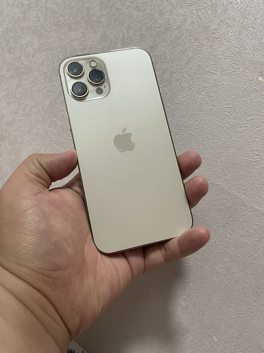 Iphone 12 pro max 256 GB 76%