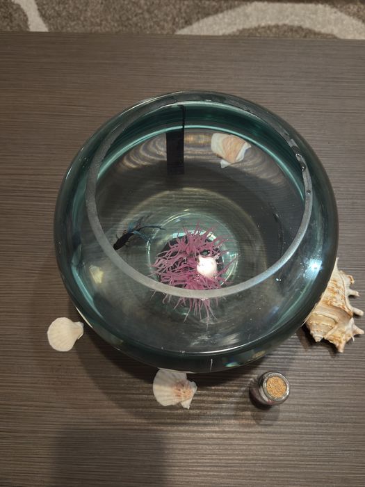 Acvariu pesti tip bol