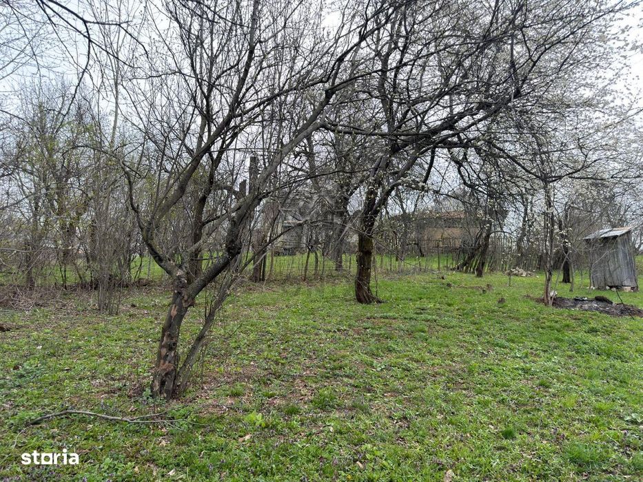 Teren intravilan 1518 mp, constructie, Sotrile, Prahova - 24 EURmp