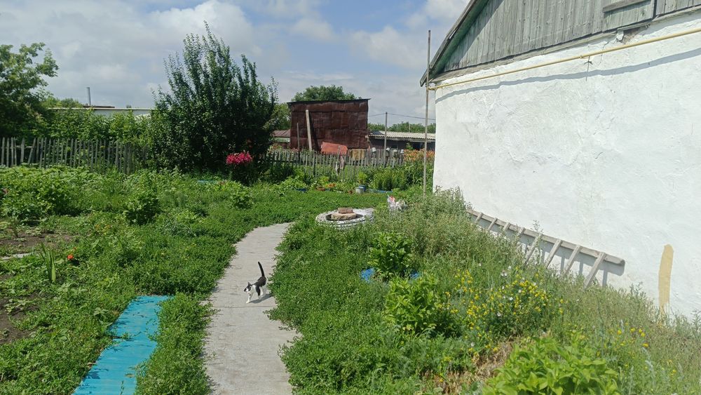 Продам дом в сельской месности