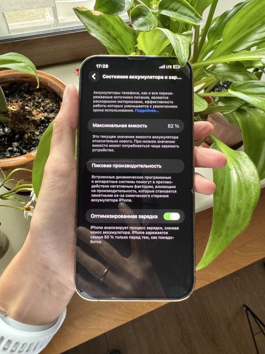 Iphone 13 pro max 256 gb