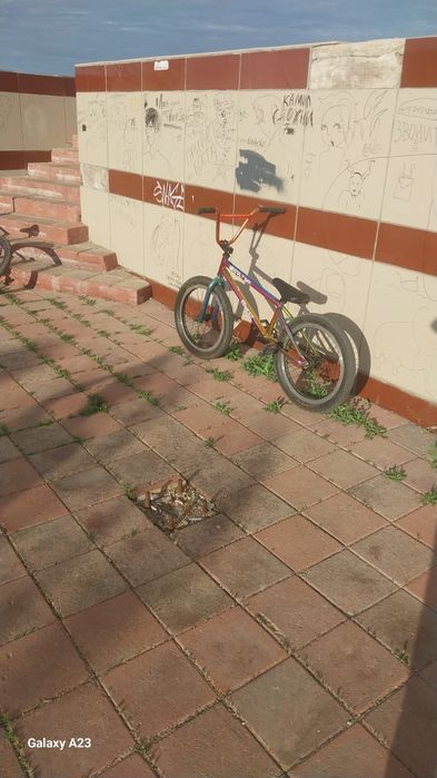 Bmx Gestal group 2025