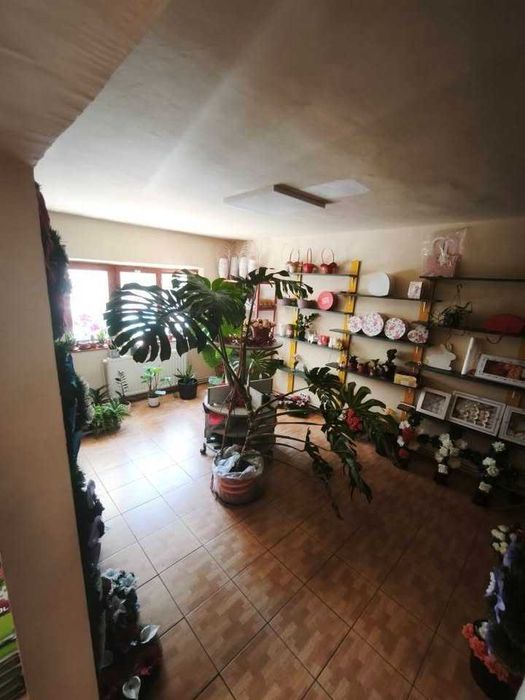 Spatiu Comercial / Apartament cu 4 camere PARTER, 83 mp, 4 intrari - Salonta