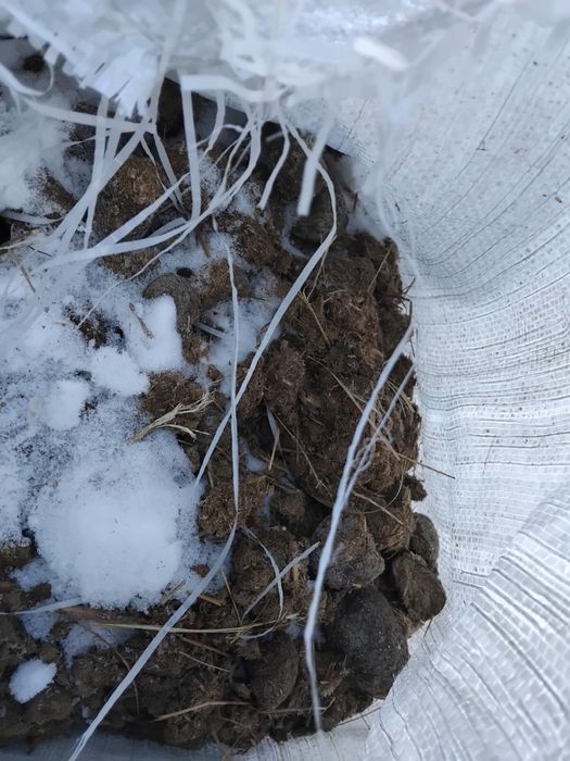 Конский замороженный навоз в мешах