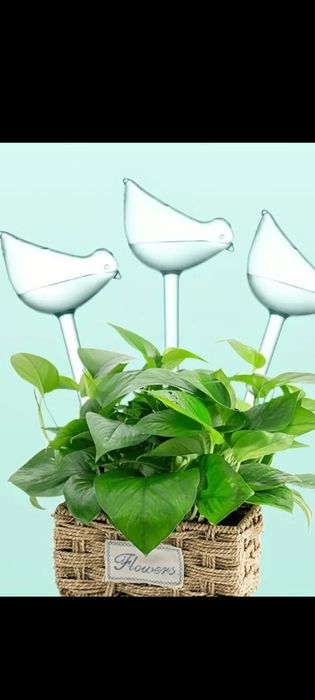 Автополив домашних растений