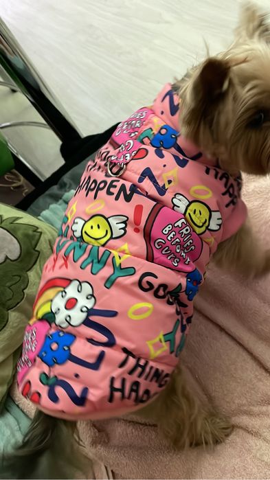 Жилетка для собак на йорка, чихуа, мальтизе