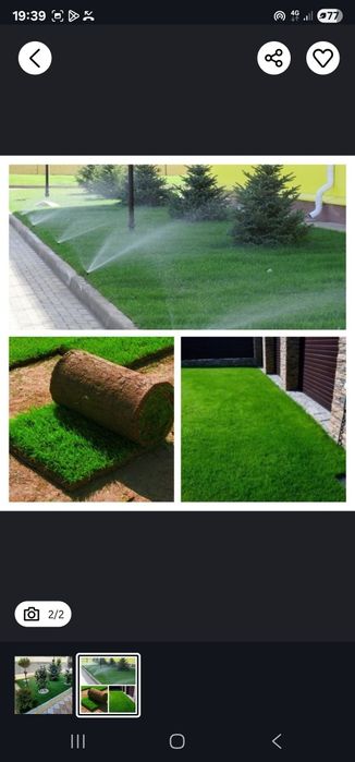 Газон Газон Газон