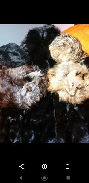 Нови палта от норка и лисица